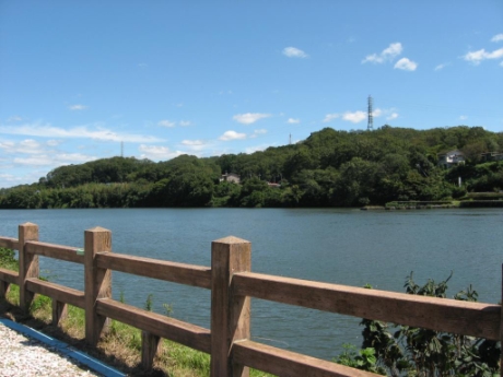 画像20